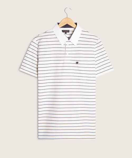 Polo Cuello Duro  Preteñido Bicolor