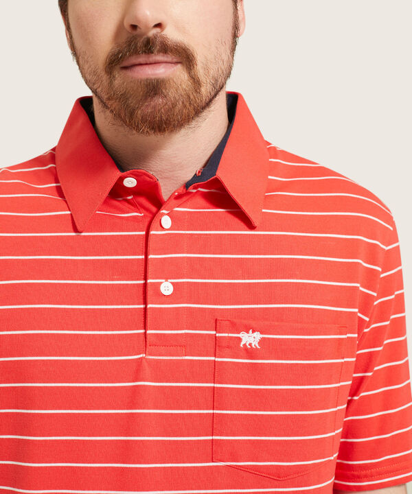 Polo Cuello Duro  Prete&ntilde;ido Bicolor