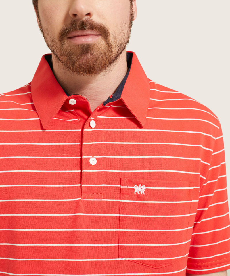 Polo Cuello Duro  Prete&ntilde;ido Bicolor