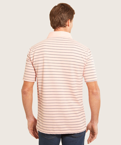 Polo Cuello Duro  Preteñido Bicolor