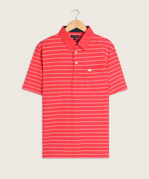 Polo Cuello Duro  Prete&ntilde;ido Bicolor