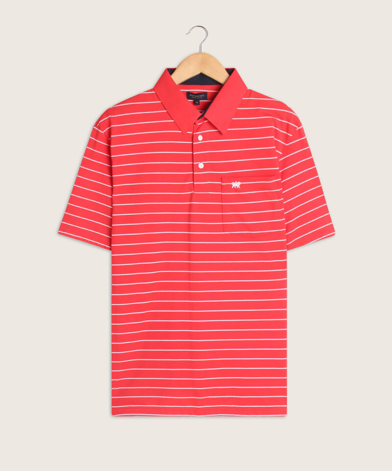 Polo Cuello Duro  Prete&ntilde;ido Bicolor