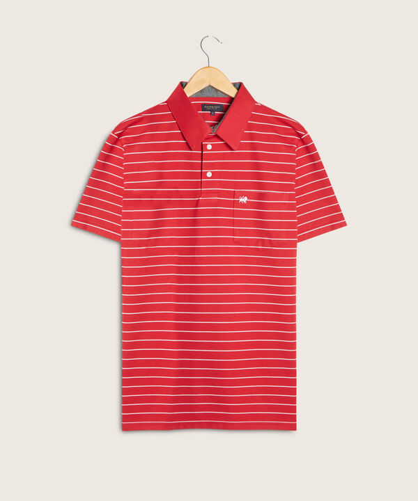 Polo Cuello Duro  Prete&ntilde;ido Bicolor