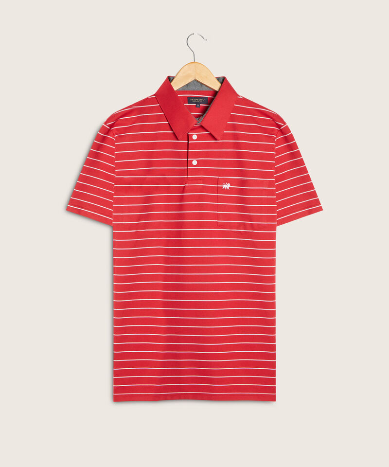 Polo Cuello Duro  Prete&ntilde;ido Bicolor