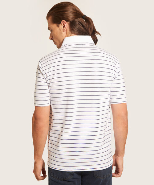 Polo Cuello Duro  Preteñido Bicolor