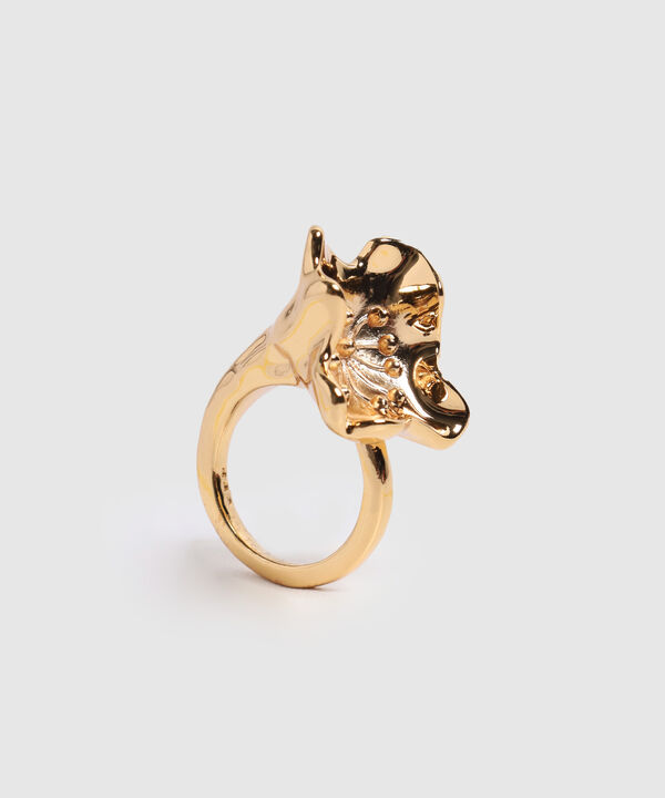 Anillo Para Mujer de Dise&ntilde;o Desestructurado image number null