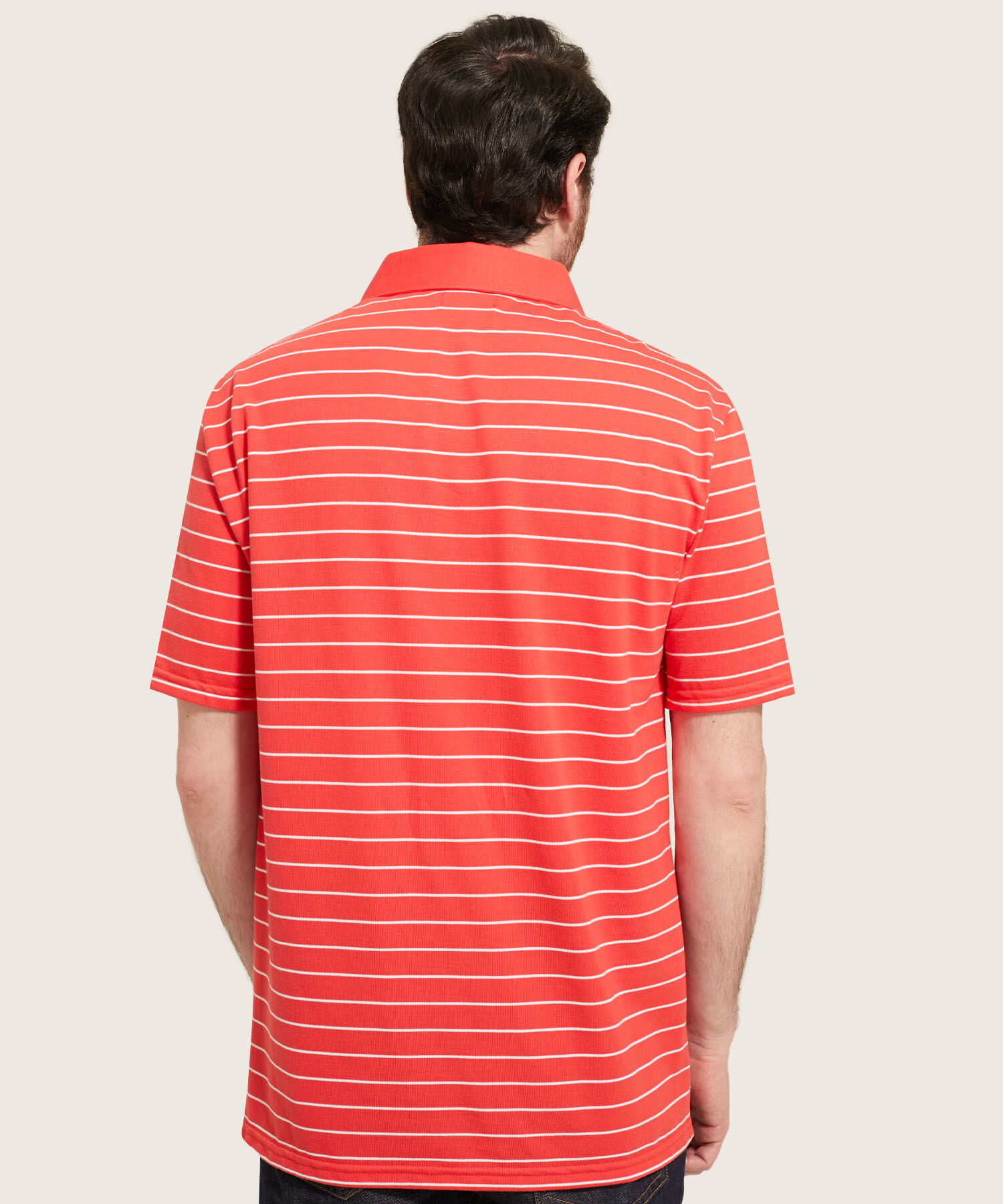 Polo Cuello Duro  Prete&ntilde;ido Bicolor
