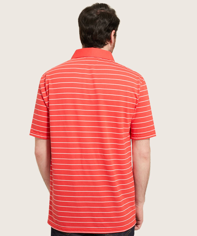 Polo Cuello Duro  Prete&ntilde;ido Bicolor